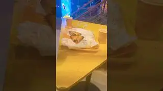 Viral spot in Anna Nagar📍 Samosa Triangle || Bucket Samosa #shorts