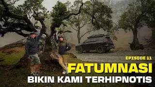 KOOLTRIP NTT EPS. 11 | ALAM FATUMNASI Menyimpan Sejuta Pesona | Hutan Bonsai Mutis TTS #roadtrip