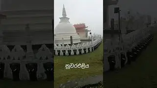 Nuwara Eliya Raja Maha Viharaya💕#travel #shortvideo #nuwaraeliya #vairal #trending