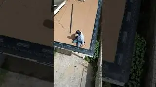 Drone view: roofer installing drip edge on a flat roof! 🏡 #construction #roofing #homedecor