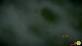 Shadow of the colossus