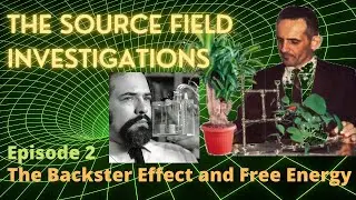 David Wilcock's The source Field Investigations (Episode 2: The Backster Effect and Free Energy)