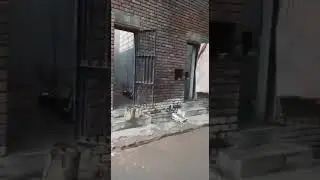 Ropar jail live