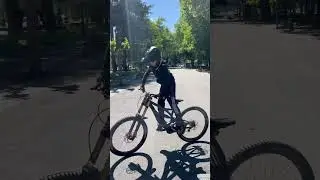 Pivot phoenix test🔥