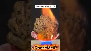 Red Hot Spoon VS Pinecone! 😱 #shorts