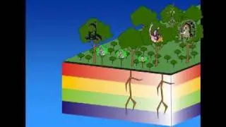 Medicine Wheel and 12 Steps for Youth Video.mp4