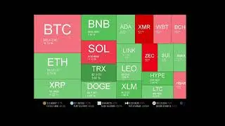 Live Coin Price Watch!