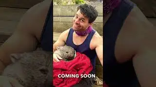 CUDDLES WITH A WOMBAT