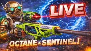 (LIVE) OCTANE Running the SENTI