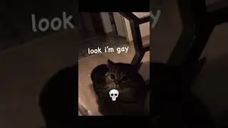 Cats Can Talk 💀