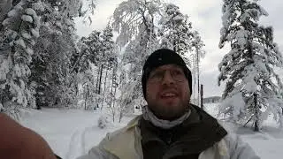 Fin toppjakt på tjäder