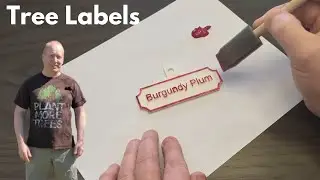 8 great ways to label your trees