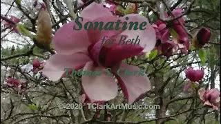 SONATINE for Beth