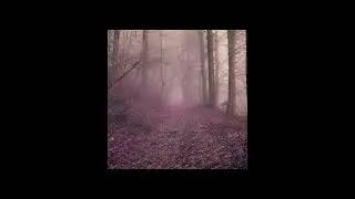 DMV07 - UNNERVING