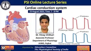 PSI Online Lecture Series 26 - Cardiac Conduction System