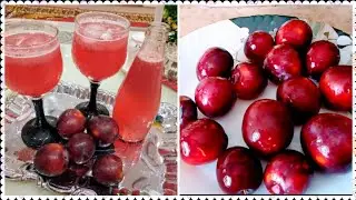 Aalu Bukhary Ka Sharbat recipe 🍒| Fresh Plum juice 🍷🍷|Pakistani Vlogger Mom