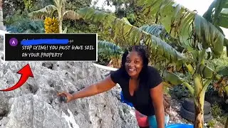 They Say I'm LYING! But Why? Growing Food In Containers On Rocks All Year Round 