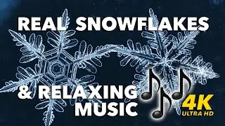 Real Snowflakes & Relaxing Music (4K)