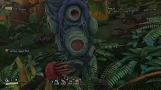 Test Blind Descent