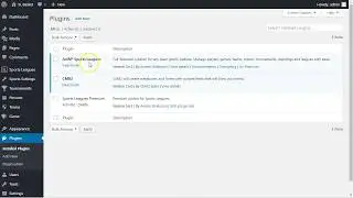 Quick Start - Step 1 - Create League - AnWP Sports Leagues WordPress plugin