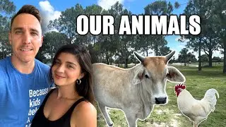 Tour of Our Florida Family Farm: Meet 20+ Animals!