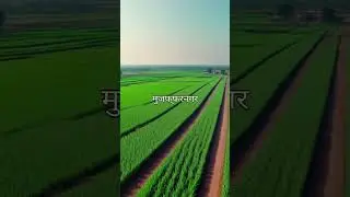 Shamli City  A Glimpse Into History  Modern Growth
