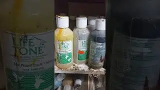 AAR TAXIDERMY: Airbrush Paint Setup / New Paint Cups for Less Lacquer Thinner Waste