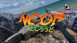 NOOB どしろうと