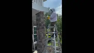 🐝 Honey Bee Cutout in a Stone Pillar | Hillside Hive Removal &ndash; Linden, VA 🐝