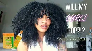 Will My Curls Pop??!! CANTU AVOCADO LINE | STYLEDBYKAMI