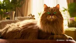 fun Facts about cats 😱 #status #anime #india #interesting #video #viral #new