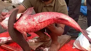 I never seen ll amazing big size Biket fish cutting live skills by expert fish cutter in Bangladesh 