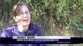Water use at Palo Verde power plant | Cronkite News