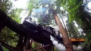 ROARING CAMP RAILROADS :: REDWOOD TRAIN 2014