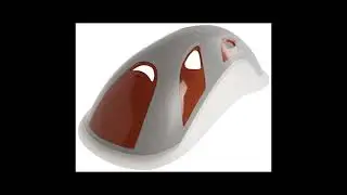 Best Cricket Protective Gear | Team Sports (Product Review)