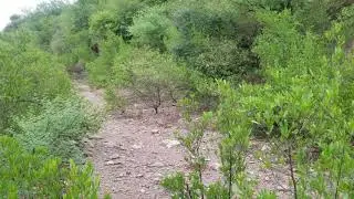 Simly Dam Road