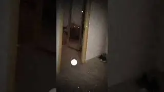 Типичный сон #shortvideo #vine #short