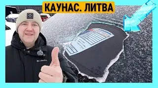 😱 АВТОПОДБОР В ЛИТВЕ | ЦЕНЫ УШЛИ ПОД ЛЁД ❄️📉 Погода ОБРУШИЛА рынок 🚗  Выбираем авто