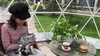 Dia.4m Tiny Transparent Dome Tent as Backyard Cafe / Garden Igloo / Rooftop Bar