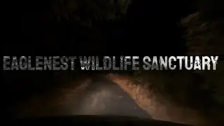 Exploring #Eaglenest Wildlife Sanctuary | In Search of the Rare Bugun Liocichla