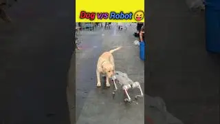 Dog v/s Robot 😝🔥#dog #animals #robot #technology #ytshorts #shorts #bollywood