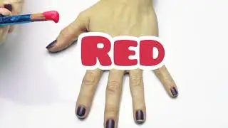 Colorful Hands || Toddler Colors Song