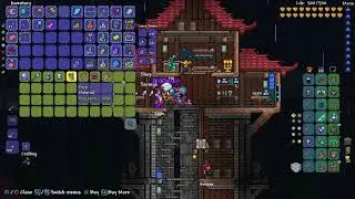 Terraria. On my own. No comment