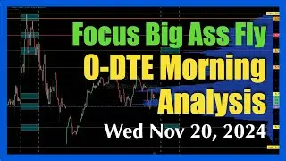 0-DTE Morning Analysis - Focus: Big Ass Fly - Wed Nov 20