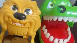 Mad dog and mad crocodile