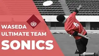 早稲田大学アルティメット部 新歓PV2021 / Waseda Univ. Men's Ultimate 2021