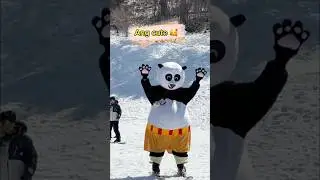 Panda Skiing ⛷️ #snow