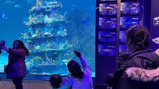 Trip 2: Adventure Aquarium Visit on a Snowy Day | Tvisha&rsquo;s Winter Fun &ndash; Camden, NJ 🐠