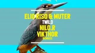 Elio Riso & Muter - Twilo (Vikthor Remix)[64kb/s]