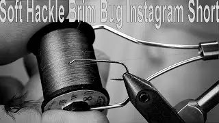 Soft Hackle Brim Bug Instagram Short